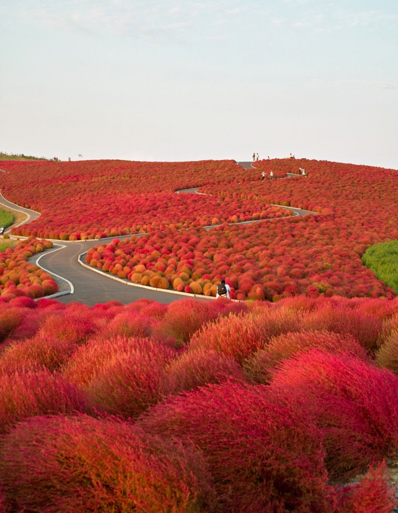 25 Magical Paths You Didn’t Know They Existed on Earth. Wonderful!