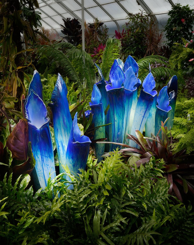 An Artist Became Famous by Using Glass to Make Wonderful Flowers