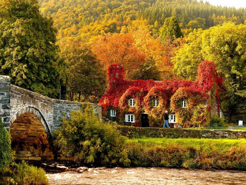 It’s Fall Season and here are Some Amazing Places Where You Can Enjoy Its True Colors