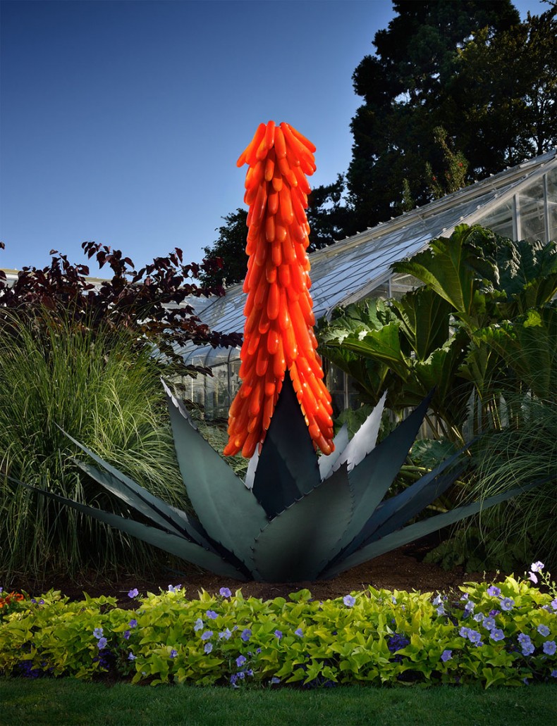 An Artist Became Famous by Using Glass to Make Wonderful Flowers