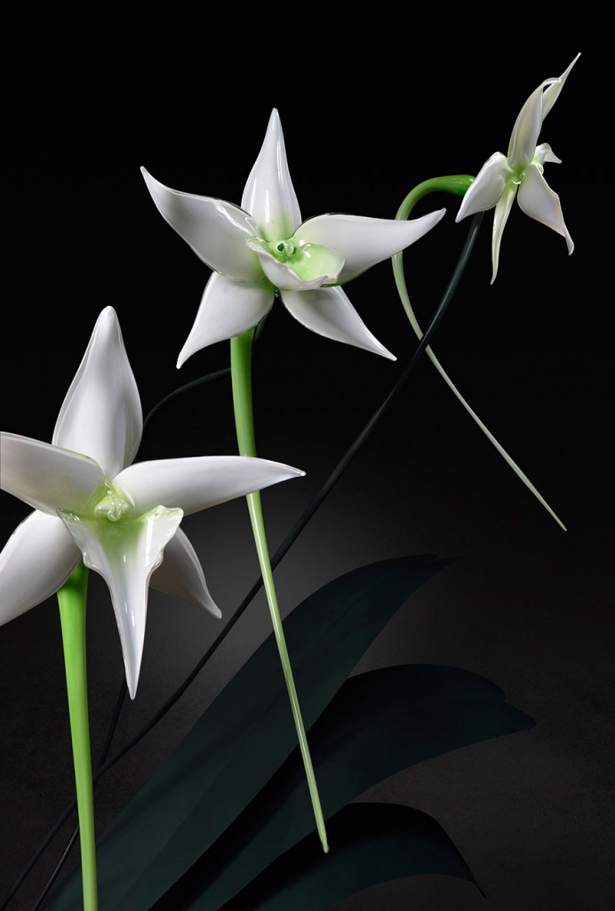 An Artist Became Famous by Using Glass to Make Wonderful Flowers