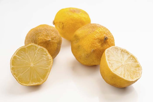 How to Tell if Lemon Has Gone Bad (with photos!) - This Healthy Table