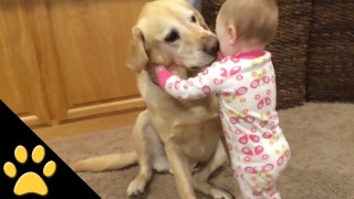 Here is Why Kids Need their Best Pet Friends. They Look Adorable Together