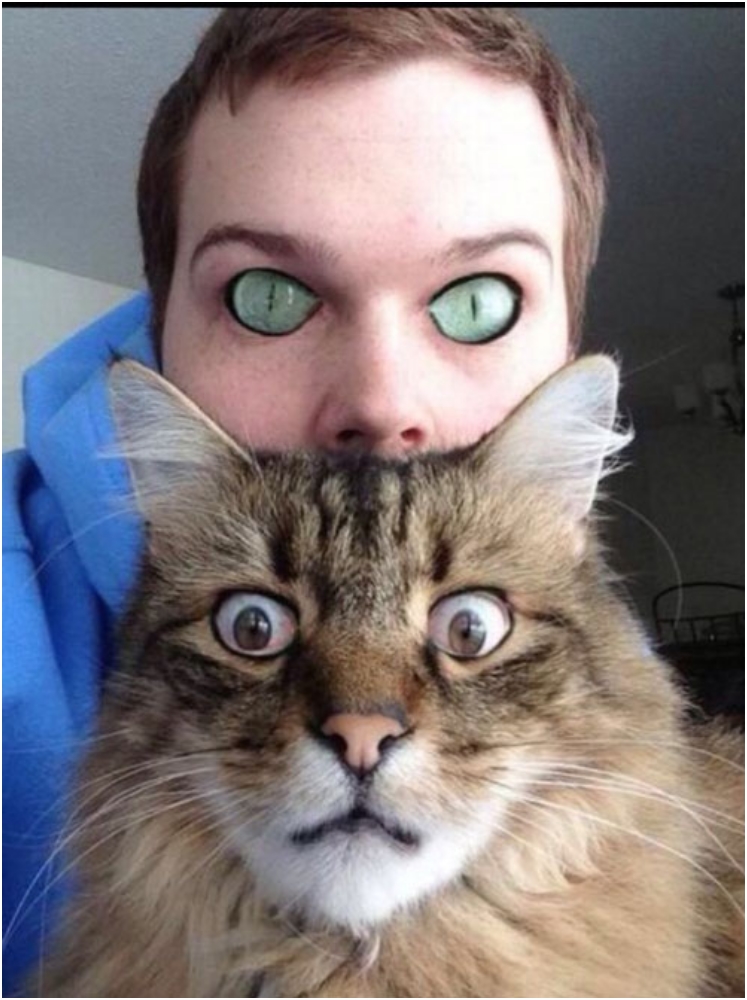 When Funny Turns A Bit Creepy 20 Face Swaps Images
