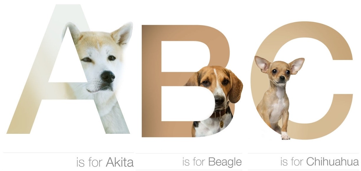 Lovely Doggie Way To Learn The Alphabet And About Dog Breeds - Explosion