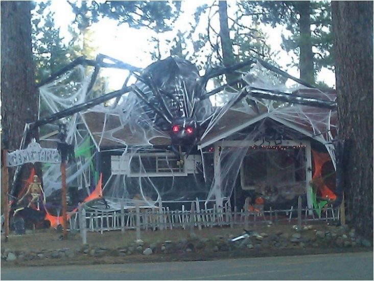 large spider decoration for house