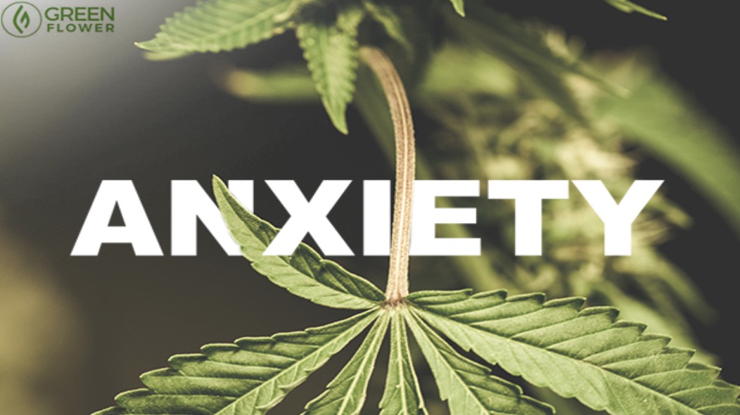 Anxiety and Marijuana: Does Marijuana Help with Anxiety?