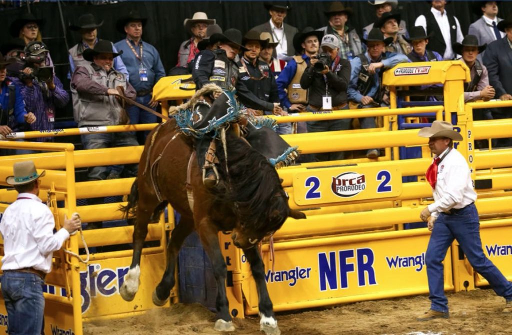 How to watch NFR Live Stream National Finals Rodeo 2019 Online TV CHANNEL