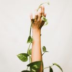 person holding ivy plant