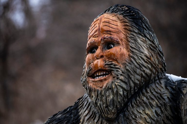 a close up of a statue of a man with a beard