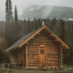 brown wooden cabin near trees during day