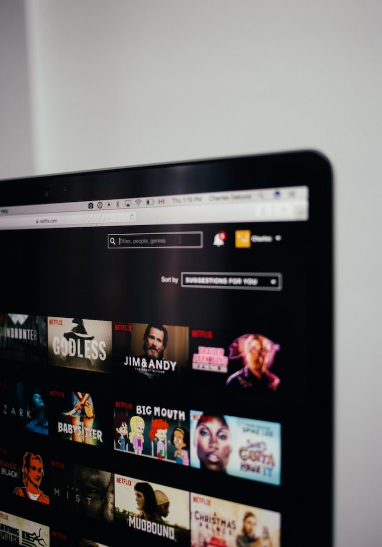 computer monitor showing Netflix selection screen