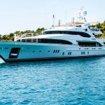 white and black yacht on body of water surrounded with tall and green trees