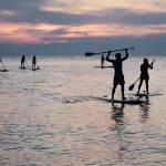 silhouette photo of people riding on paddle boards