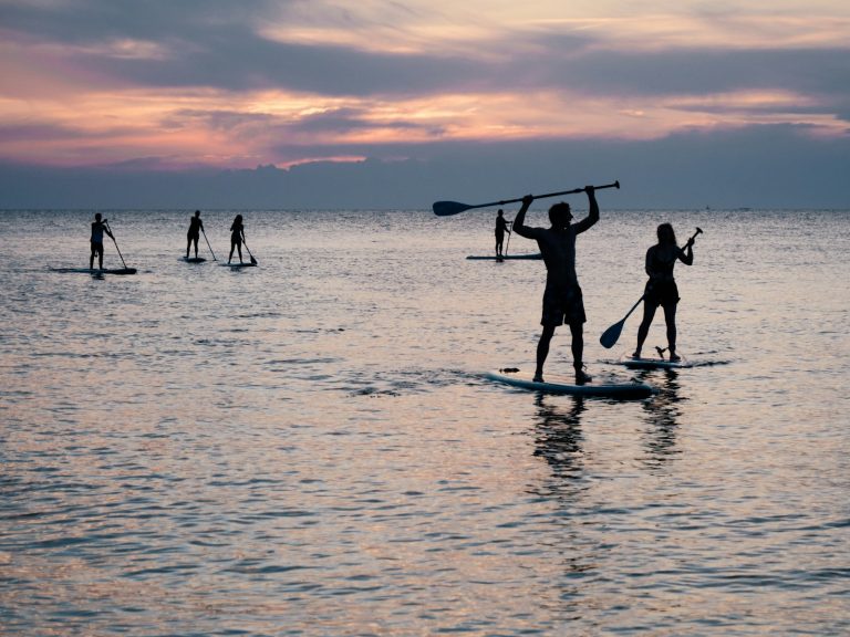 silhouette photo of people riding on paddle boards