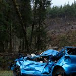 blue car parked on green grass field