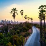 green palm trees near city buildings during daytime