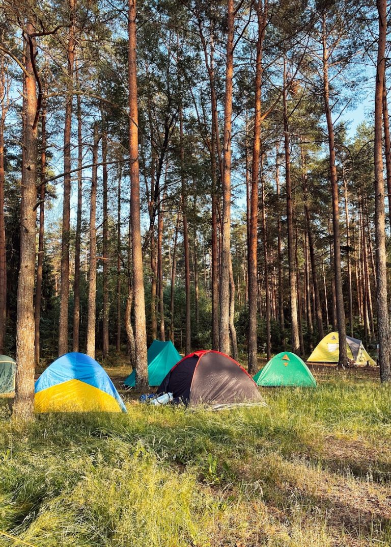 blue yellow and red dome tent in forest during daytime