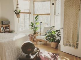 brown wooden framed white padded chair in between green indoor leaf plants inside bedroom