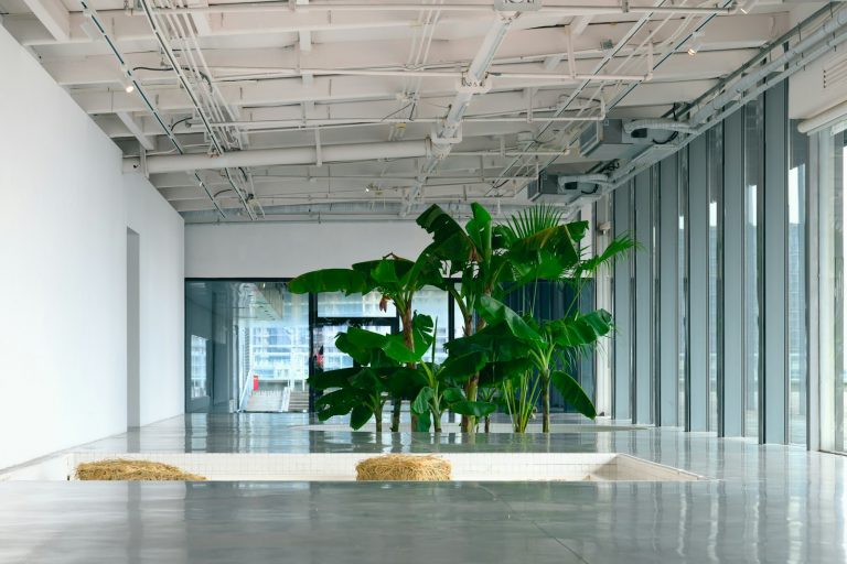 a large plant in a large room with lots of windows