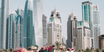 camels on beach sands