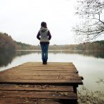 web, lake, forest