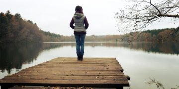 web, lake, forest