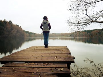 web, lake, forest