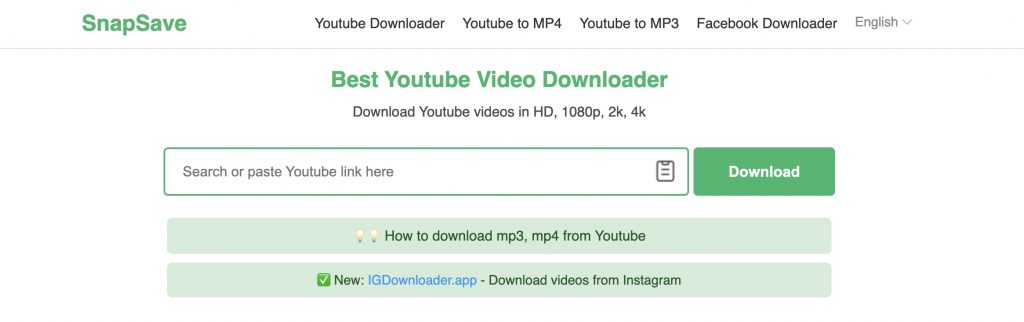 SnapSave.io - online video downloader