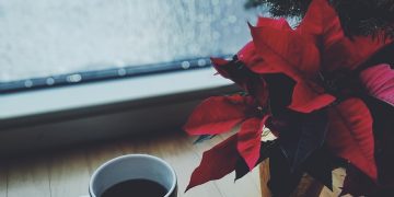 mug of coffee beside christmass tree by the window