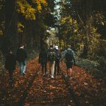 six person walking on train rail surrounded by tall trees at daytime