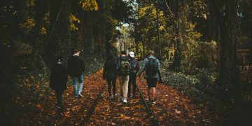 six person walking on train rail surrounded by tall trees at daytime