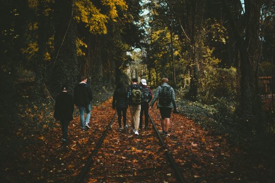 six person walking on train rail surrounded by tall trees at daytime