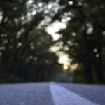 black asphalt road between tree line