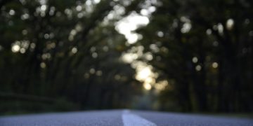 black asphalt road between tree line