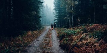 two person walking in between tall trees during cloudy sky